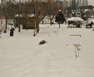 Rodinný dom v obci Markušovce