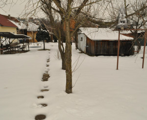 Rodinný dom v obci Markušovce