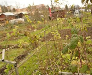 Záhradka, sídl. Tarča, Sp. Nová Ves