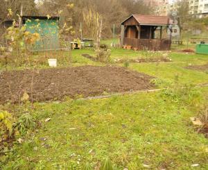 Záhradka, sídl. Tarča, Sp. Nová Ves