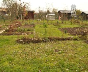 Záhradka, sídl. Tarča, Sp. Nová Ves