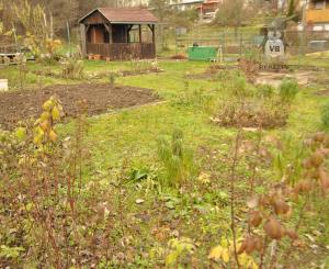 Záhradka, sídl. Tarča, Sp. Nová Ves