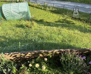 Byt 3+1 v obci Rudňany, okr. Sp. Nová Ves