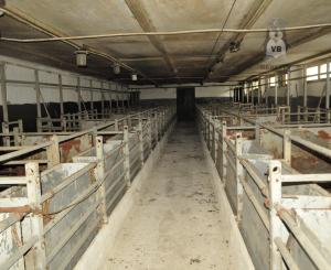 Podnikateľský objekt bitúnok,  Spišské Vlachy