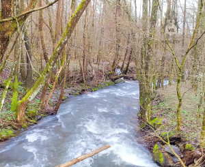 PREDANÉ - Rodinný dom alebo chalúpka pod lesom, 892 m2, Remetské Hámre