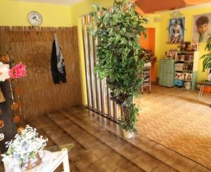 Kaderníctvo - priestor služby v obci Markušovce, okres Sp. Nová Ves