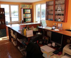 Ponúkame na predaj areal v Michalovciach