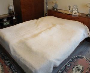 Ponúkame na predaj areal v Michalovciach