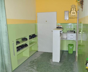 Rehabilitačno-relaxačné centrum na prenájom, SNV