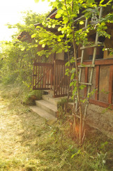 Rodinný dom v obci Rákoš, okr. Revúca