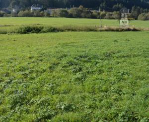 Predám investičný pozemok vo Vítkovciach