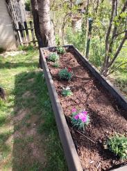 Záhradka s chatkou na sídl. Mier, Sp. Nová Ves