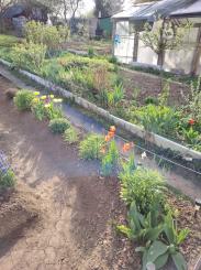 Záhradka s chatkou na sídl. Mier, Sp. Nová Ves