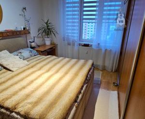 Byt 3+1 na sídlisku Mier, Spišská Nová Ves