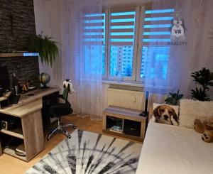 Byt 3+1 na sídlisku Mier, Spišská Nová Ves