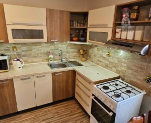 Rodinný dom s 2 samost. bytov. jednotkami v obci Jamník, SNV