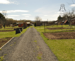 Záhradka s chatkou v záhradkarskej osade na líške, Sp. Nová Ves