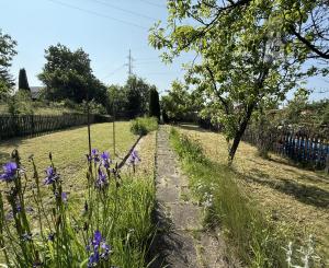 Záhrada v Spišskej Novej Vsi