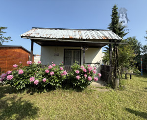 Záhrada v Spišskej Novej Vsi