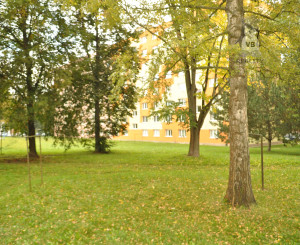 Byt 1+1 sídl. Tarča, Sp. Nová Ves