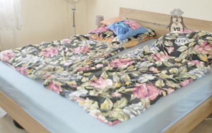 Bytový dom 3+1 v obci Markušovce, okr. Sp.Nová Ves