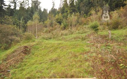 Prenájom byt 3+1 s terasou, Novoveská Huta, Sp. Nová Ves