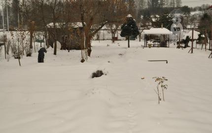 Rodinný dom v obci Markušovce