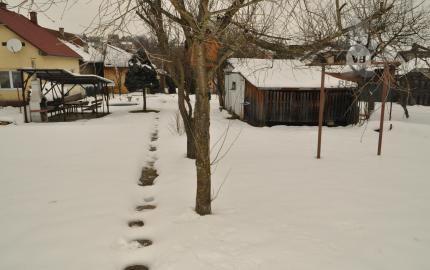 Rodinný dom v obci Markušovce