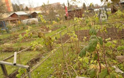 Záhradka, sídl. Tarča, Sp. Nová Ves