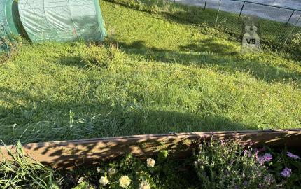 Byt 3+1 v obci Rudňany, okr. Sp. Nová Ves