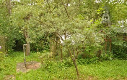 Záhradná chata, Levoča