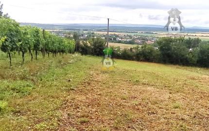 Slnečný rekreačný  pozemok , 650 m2, Vinné