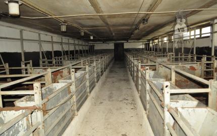 Podnikateľský objekt bitúnok,  Spišské Vlachy