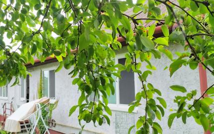 Rodinný dom s rozľahlým pozemkom, Humenné