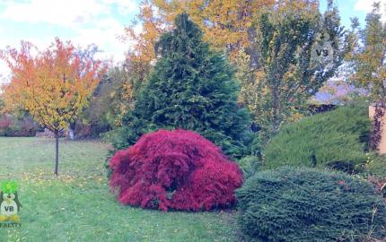 Jedinečný rodinný dom v obci Vinné s rozľahlým pozemkom