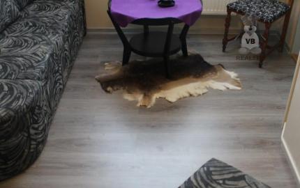 Ponúkame na predaj areal v Michalovciach