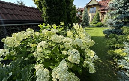 Rodinný dom Smižany, okr. Sp. Nová Ves