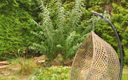 Rodinný dom v obci Markušovce, okr. Sp. Nová Ves