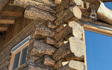 Zrubový rodinný dom v obci Hnilčík-Bindt, okres Sp. Nová Ves