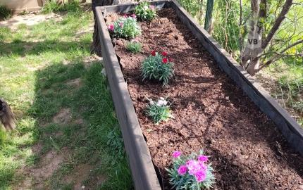 Záhradka s chatkou na sídl. Mier, Sp. Nová Ves