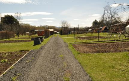Záhradka s chatkou v záhradkarskej osade na líške, Sp. Nová Ves