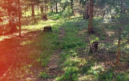 Pozemok pri potoku v časti Zahájnica, Nálepkovo