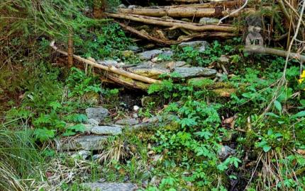Pozemok pri potoku v časti Zahájnica, Nálepkovo