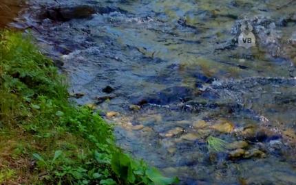 Pozemok pri potoku v časti Zahájnica, Nálepkovo