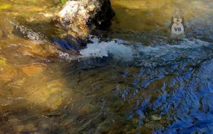 Pozemok pri potoku v časti Zahájnica, Nálepkovo