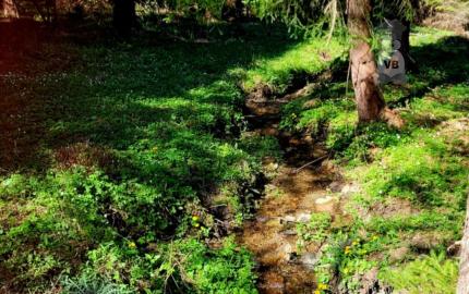 Pozemok pri potoku v časti Zahájnica, Nálepkovo