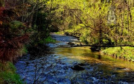 Pozemok pri potoku v časti Zahájnica, Nálepkovo