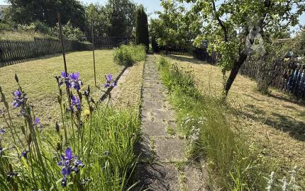 Záhrada v Spišskej Novej Vsi