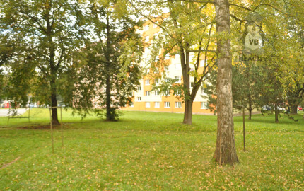 Byt 1+1 sídl. Tarča, Sp. Nová Ves