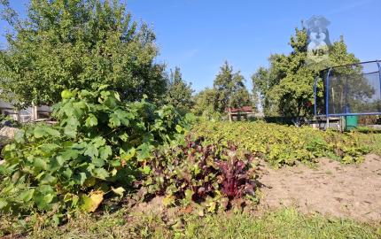 Záhrada na sídl. Mier, Sp. Nová Ves